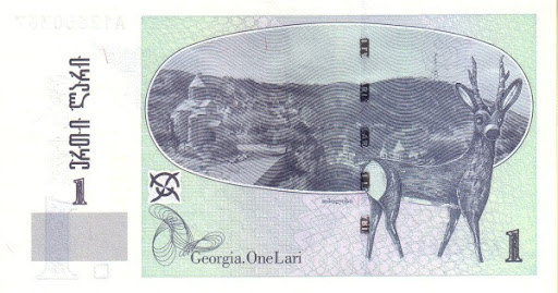 какую валюту брать в Грузию
