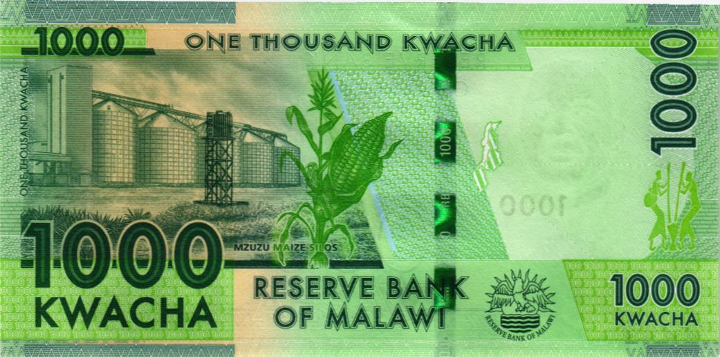 МАЛАВИ 1000 КВАЧА мини 2