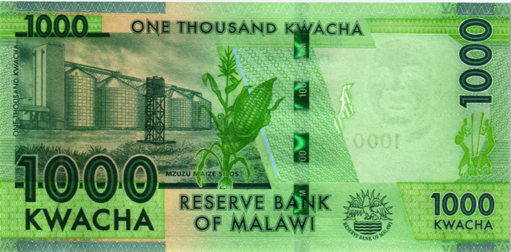 МАЛАВИ 1000 КВАЧА мини 2
