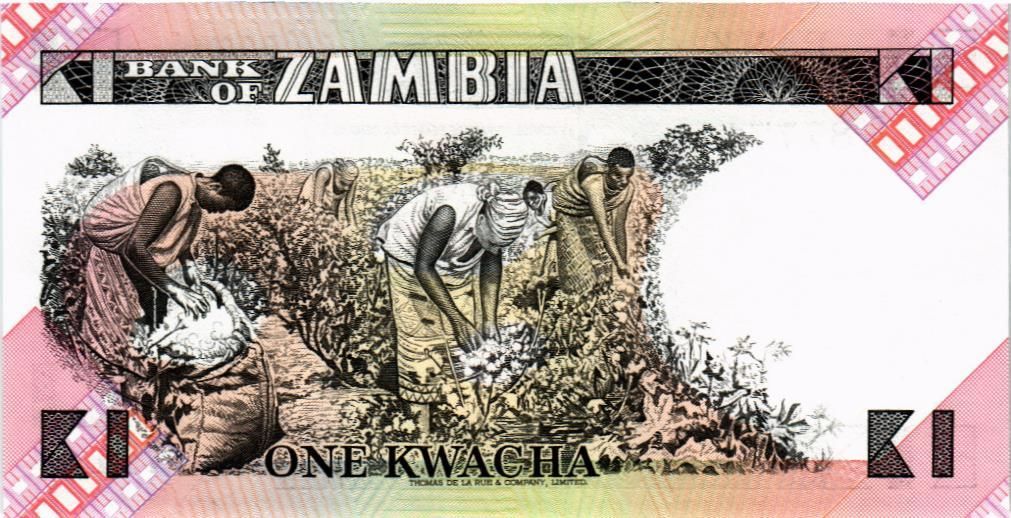 ЗАМБИЯ 1 КВАЧА мини 2