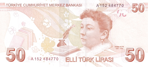 какая валюта у турок 