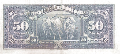 оформление банкноты лира
