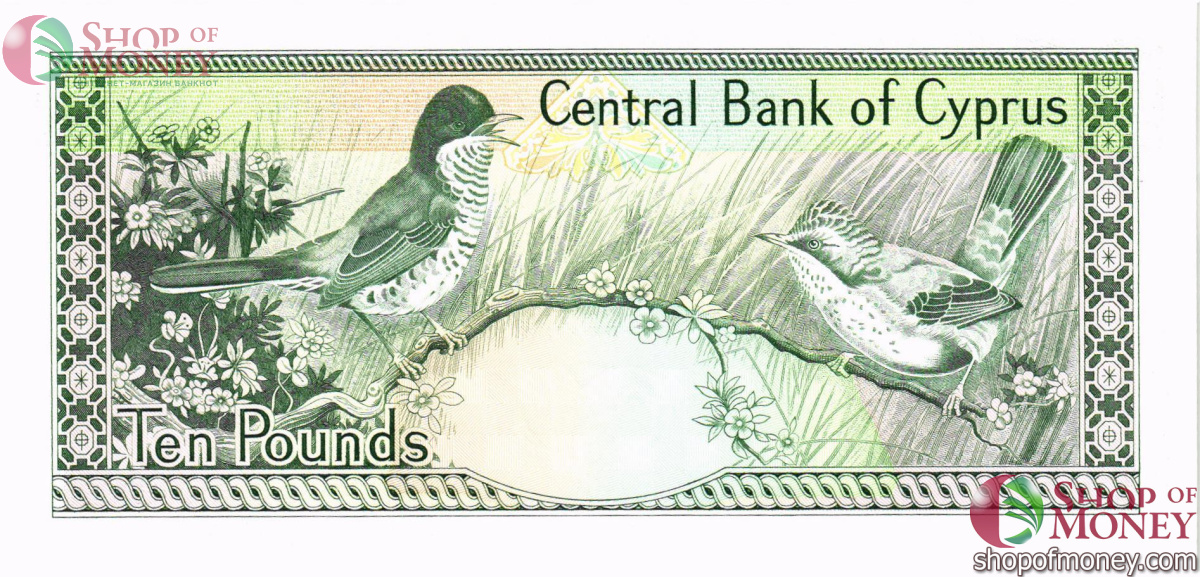 КИПР 10 ЛИР 2