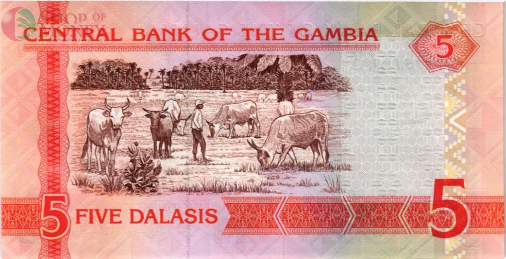 ГАМБИЯ 5 ДАЛАСИ 2