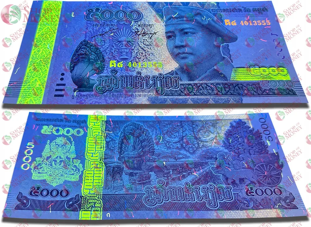 КАМБОДЖА 5000 РИЕЛЬ 3