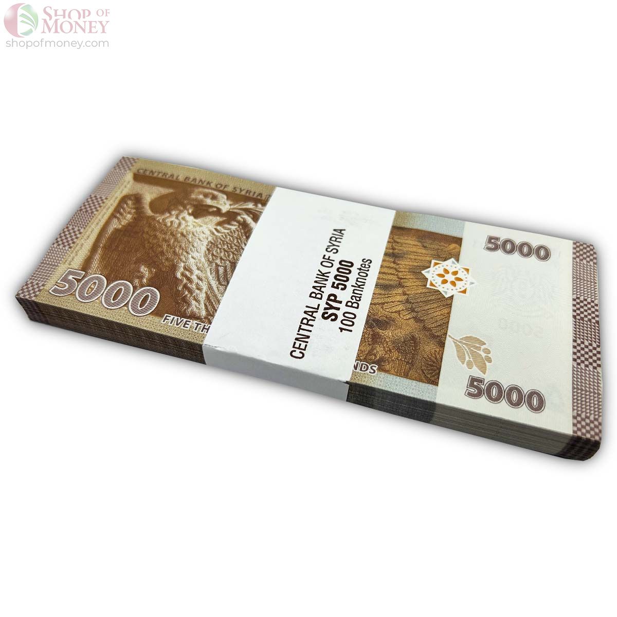 СИРИЯ 5000 ФУНТОВ (100 БАНКНОТ) 2