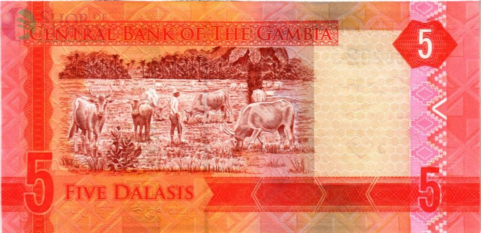 ГАМБИЯ 5 ДАЛАСИ 2