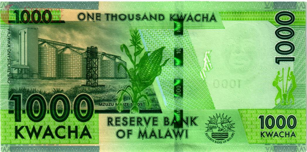 МАЛАВИ 1000 КВАЧА 2