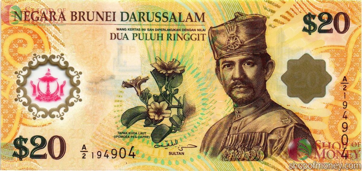 БРУНЕЙ 20 РИНГГИТ 1