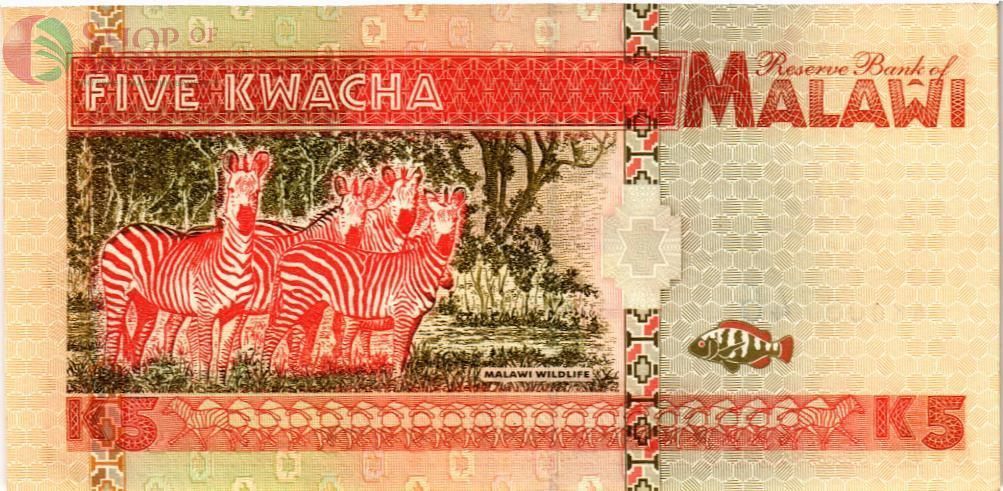 МАЛАВИ 5 КВАЧА 2