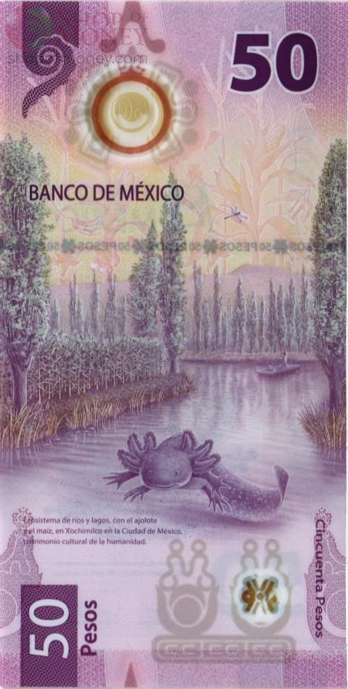 МЕКСИКА 50 ПЕСО (06.12.2023) 2