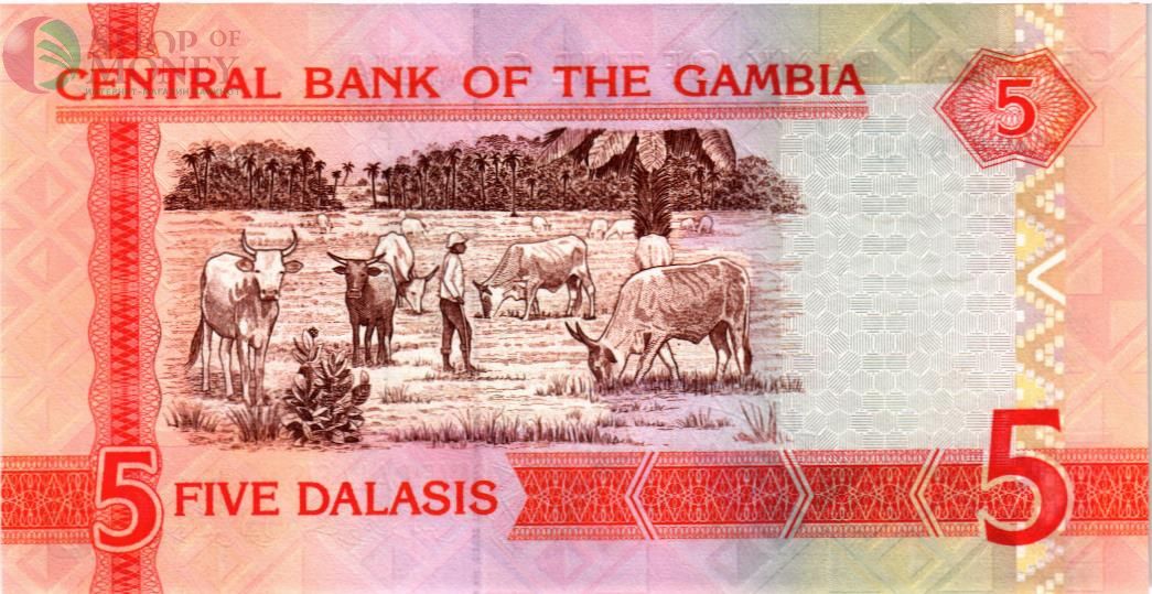 ГАМБИЯ 5 ДАЛАСИ 2