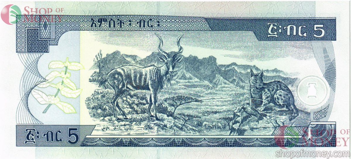 ЭФИОПИЯ 5 БЫР # DJ 7064999 2