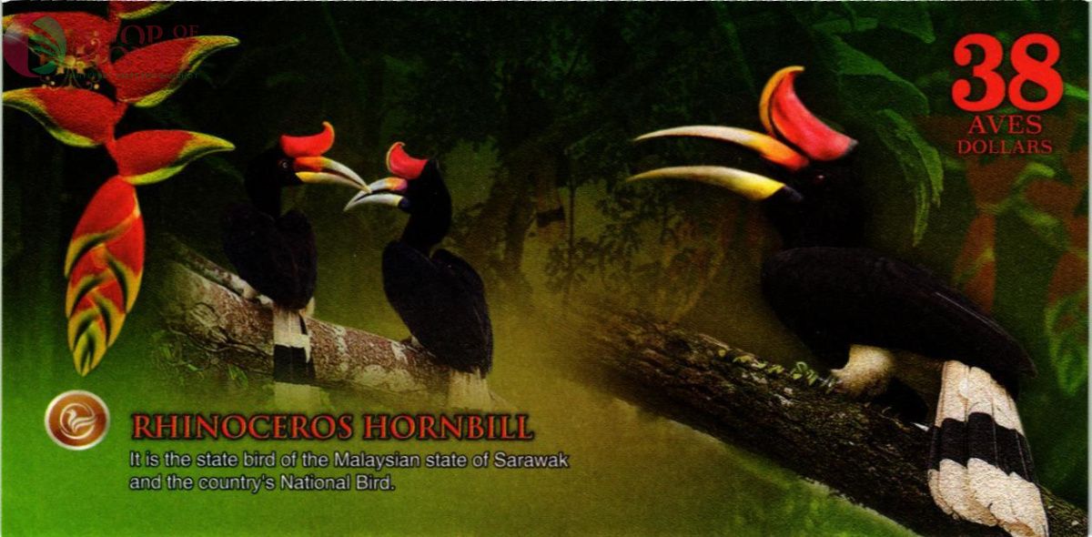 АТЛАНТИЧЕСКИЙ ЛЕС 38 ДОЛЛАРОВ 2