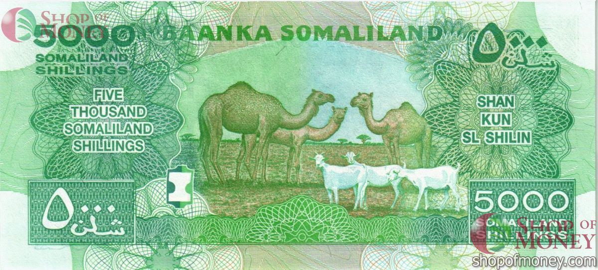 СОМАЛИЛЕНД 5000 ШИЛЛИНГОВ 2