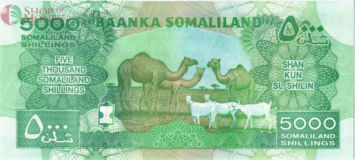 СОМАЛИЛЕНД 5000 ШИЛЛИНГОВ 2