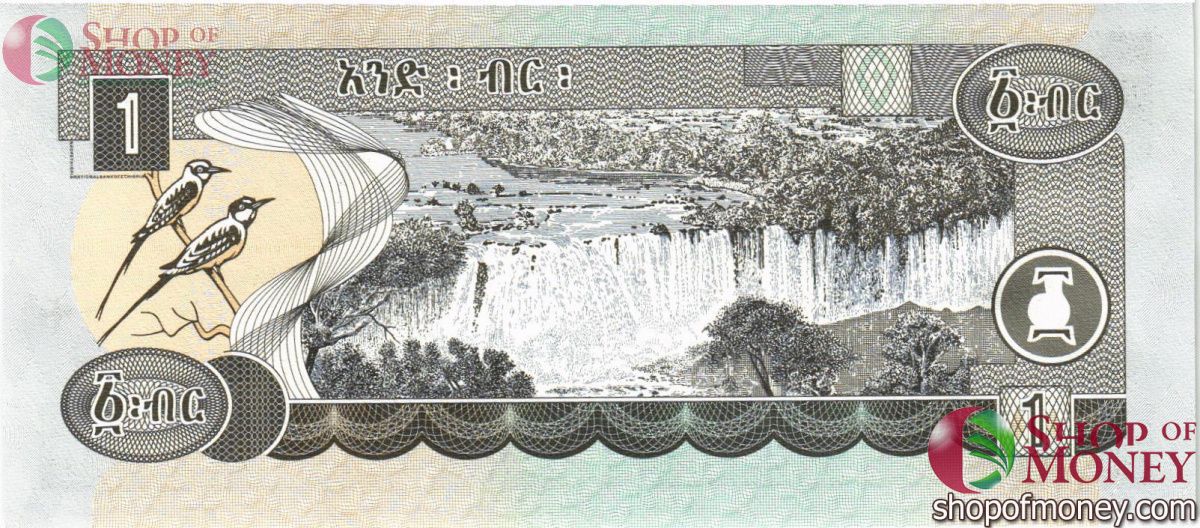 ЭФИОПИЯ 1 БЫРР 2