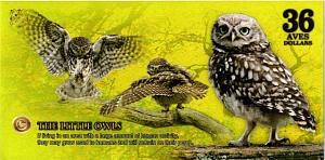 АТЛАНТИЧЕСКИЙ ЛЕС 36 ДОЛЛАРОВ 2